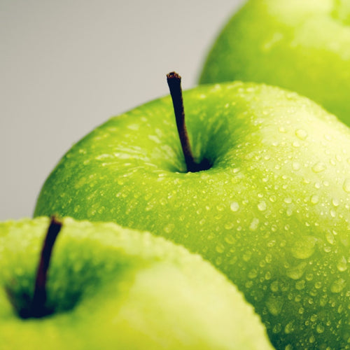 Ernährungsprogramm: metabolic balance private Stoffwechselprogramm