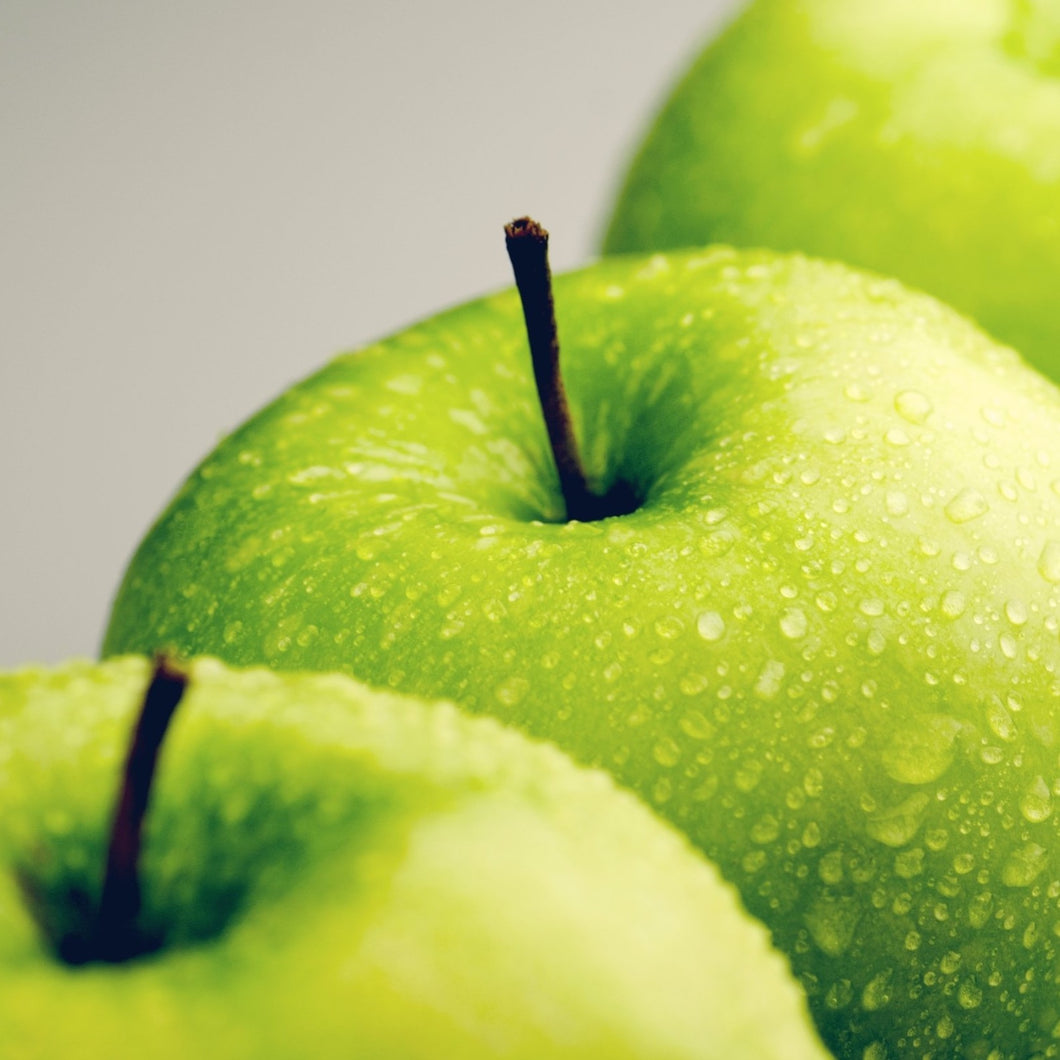 Ernährungsprogramm: metabolic balance private Stoffwechselprogramm